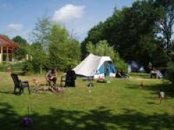 Het Oosterse Veld natuur camping