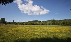Camping Le Moulin Pano1