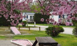 Camping Le Moulin mcc2