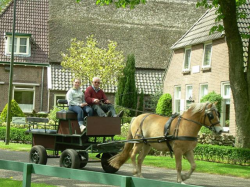Woonboerderij Klenkerhof Paard en wagen